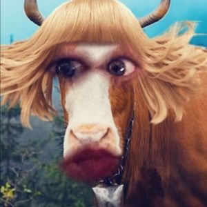 Meet your Posher, Sam